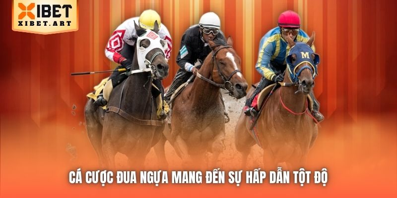 Cá cược đua ngựa mang đến sự hấp dẫn tột độ 