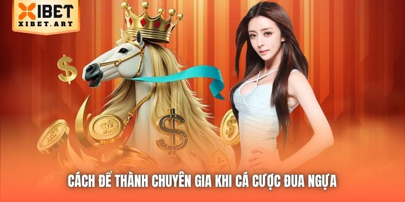 Cách để thành chuyên gia khi cá cược đua ngựa 